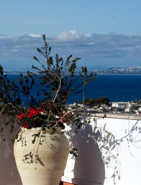 Hotel Casa Di Meglio Ischia Esterno foto